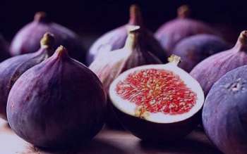 یبوست و چاقی ، رابطه یبوست و چاقی ، درمان یبوست یبوست و چاقی ، رابطه یبوست و چاقی ، درمان یبوست