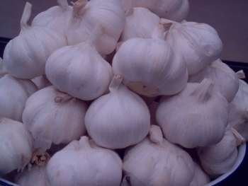 سرفه خشک و سوزش گلو , درمان خانگی سرفه , درمان سرفه خشک و سوزش گلو سرفه خشک و سوزش گلو , درمان خانگی سرفه , درمان سرفه خشک و سوزش گلو