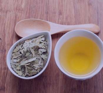 خاصیت برگ سنا , خواص برگ سنا , خاصیت برگ سنا برای یبوست خاصیت برگ سنا , خواص برگ سنا , خاصیت برگ سنا برای یبوست
