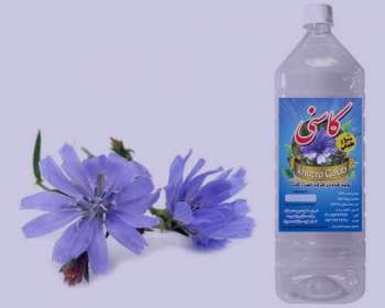 خواص کاسنی در بارداری , کاسنی در بارداری , خواص عرق کاسنی در بارداری