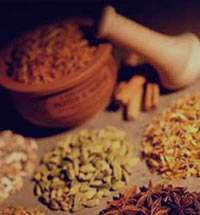 فواید و طریقه استفاده ازگیاهان دارویی فواید و طریقه استفاده ازگیاهان دارویی