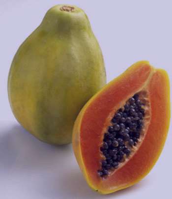 سنگ کلیه, میوههای ضدعفونت ادراری سنگ کلیه, میوههای ضدعفونت ادراری