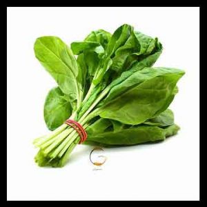 سبزی شاهی , سبزی شاهی را گویند , سبزی شاهین , سبزی شاهی در بارداری سبزی شاهی , سبزی شاهی را گویند , سبزی شاهین , سبزی شاهی در بارداری