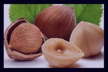 خواص فندق , خواص فندق تازه , خواص فندق در بارداری , خواص فندق خام خواص فندق , خواص فندق تازه , خواص فندق در بارداری , خواص فندق خام