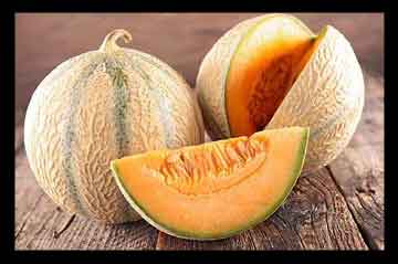 طبع طالبی , طبع طالبی گرم یا سرد, طبع طالبی و گرمک , طبع طالبی گرم است یا سرد طبع طالبی , طبع طالبی گرم یا سرد, طبع طالبی و گرمک , طبع طالبی گرم است یا سرد
