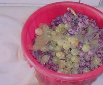 طرز تهیه سرکه , طرز تهیه سرکه سیب , طرز تهیه سرکه انگور , طرز تهیه سرکه انگورخانگی