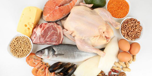 گوشت های حلال , انواع گوشت های حلال , گوشت های دریایی حلال , گوشت های حلال در اسلام گوشت های حلال , انواع گوشت های حلال , گوشت های دریایی حلال , گوشت های حلال در اسلام