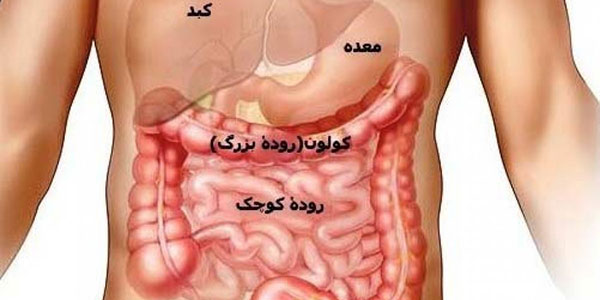 سرطان روده کوچک , سرطان روده کوچک بدخیم , سرطان روده کوچک کشنده است , سرطان روده کوچک ویکی پدیا سرطان روده کوچک , سرطان روده کوچک بدخیم , سرطان روده کوچک کشنده است , سرطان روده کوچک ویکی پدیا