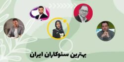 معرفی بهترین سئوکاران ایران (تهران) به همراه مشخصات